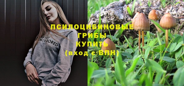 бошки Алексеевка