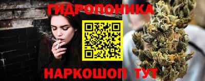 дмт Дубна