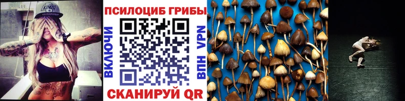 купить   сайты даркнета какой сайт  Псилоцибиновые грибы прущие грибы  Муравленко 