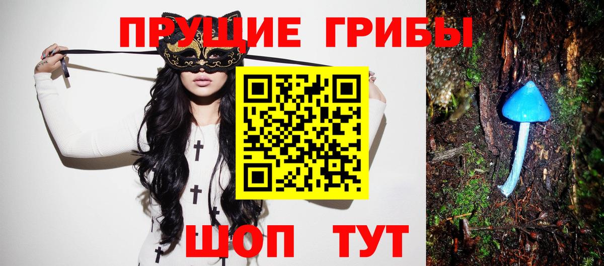 как найти   Галлюциногенные грибы Cubensis  Вход с VPN  Муравленко  Псилоцибиновые грибы прущие грибы 